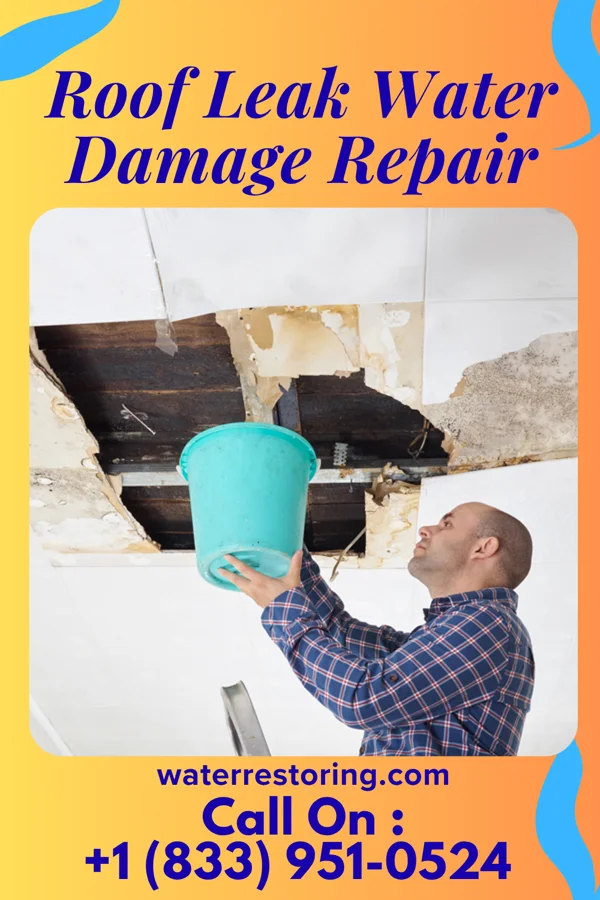 Roof Leak Water Damage Repair in Colby, WI