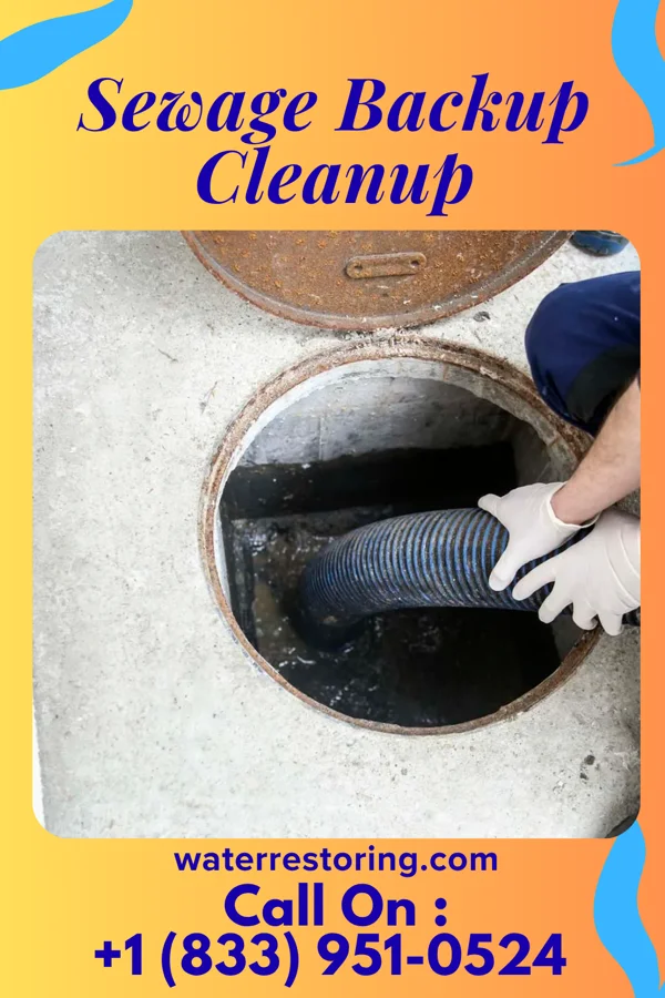 Sewage Backup Cleanup in Colby, WI